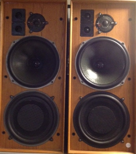 Celestion Ditton 25's – AudioGoldLondon