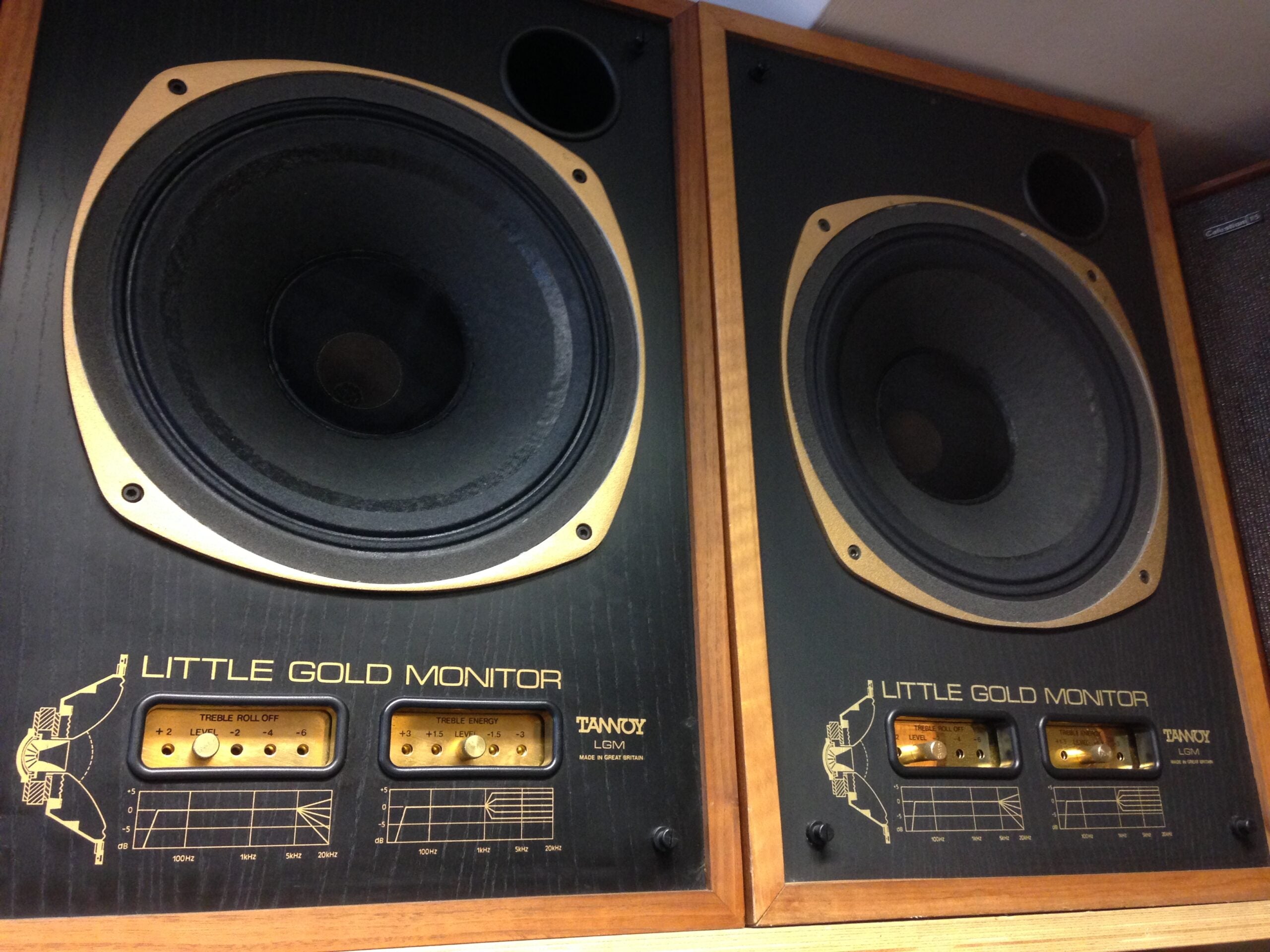 Tannoy Little Gold Monitor - LGM – AudioGoldLondon