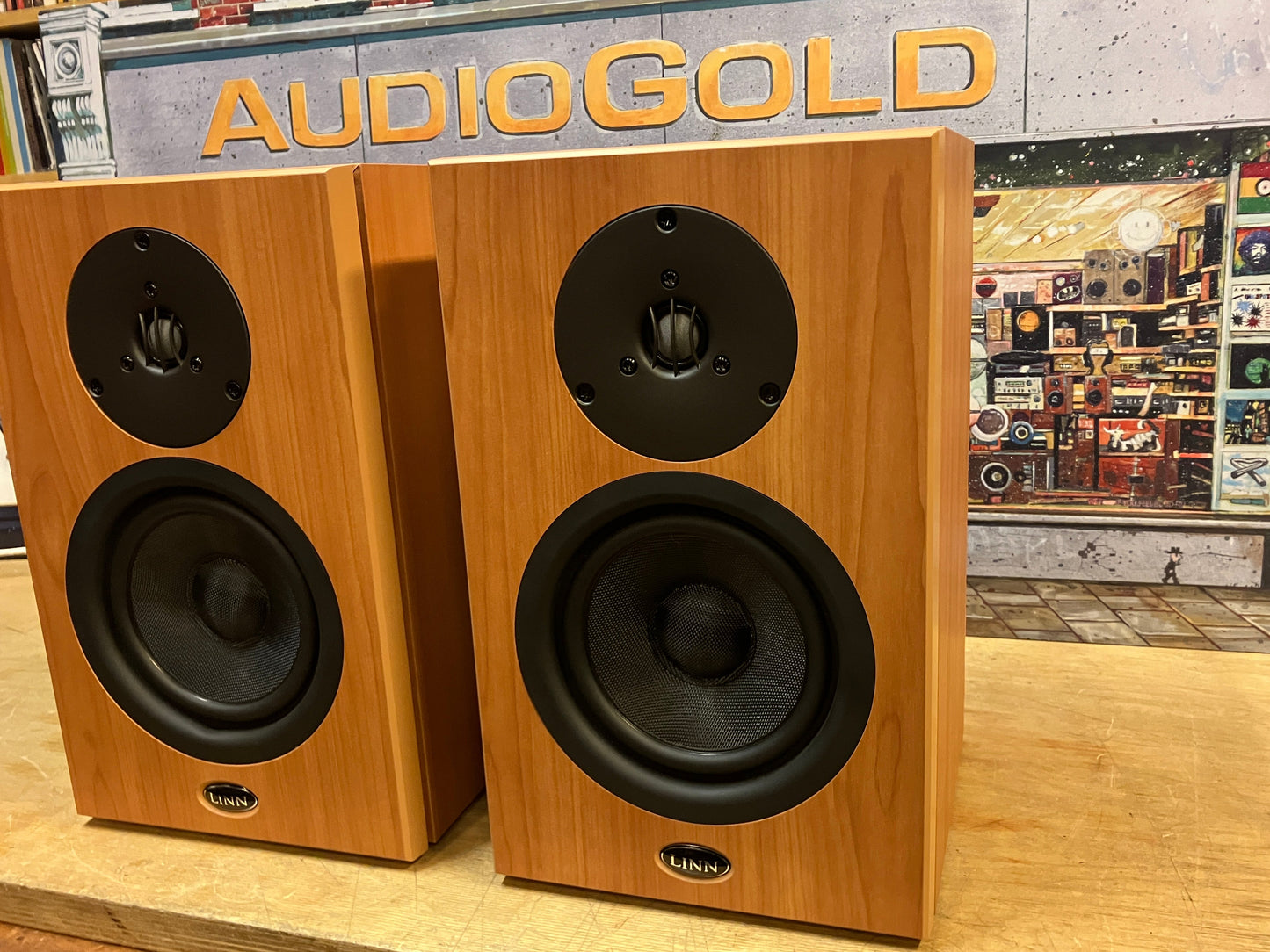 LINN KAN SPEAKERS