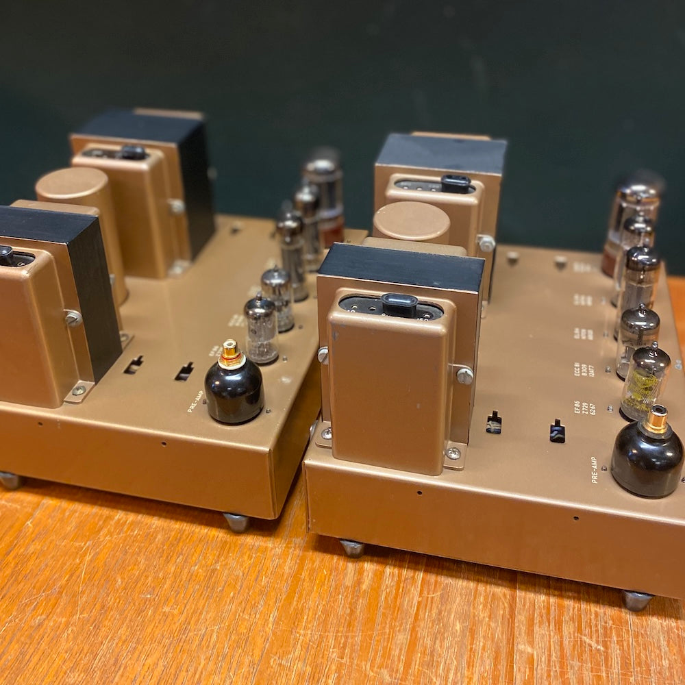 Leak TL/12 Plus valve monoblock amplifiers