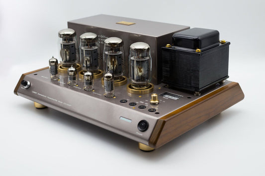 Leben CS-1000p valve stereo power amplifier