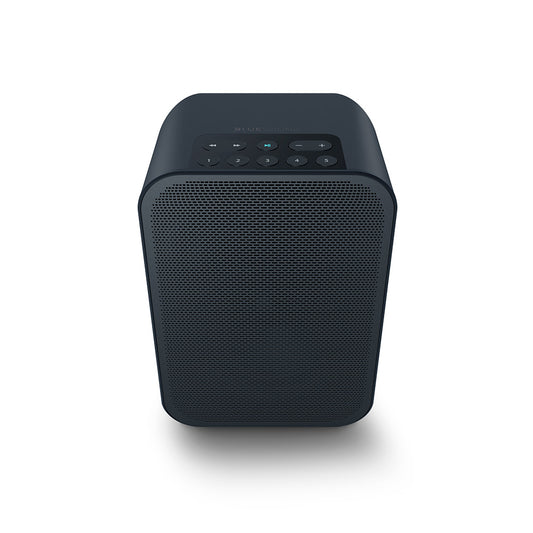 Bluesound Pulse Flex 2i Network Speaker (with Wifi Streamer)