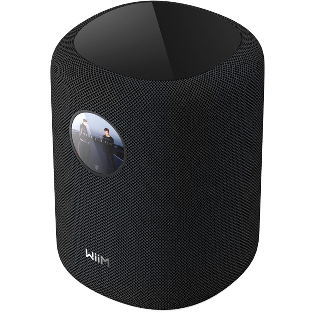 WiiM Sound Wireless speaker
