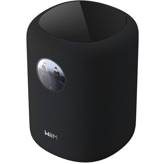 WiiM Sound Wireless speaker
