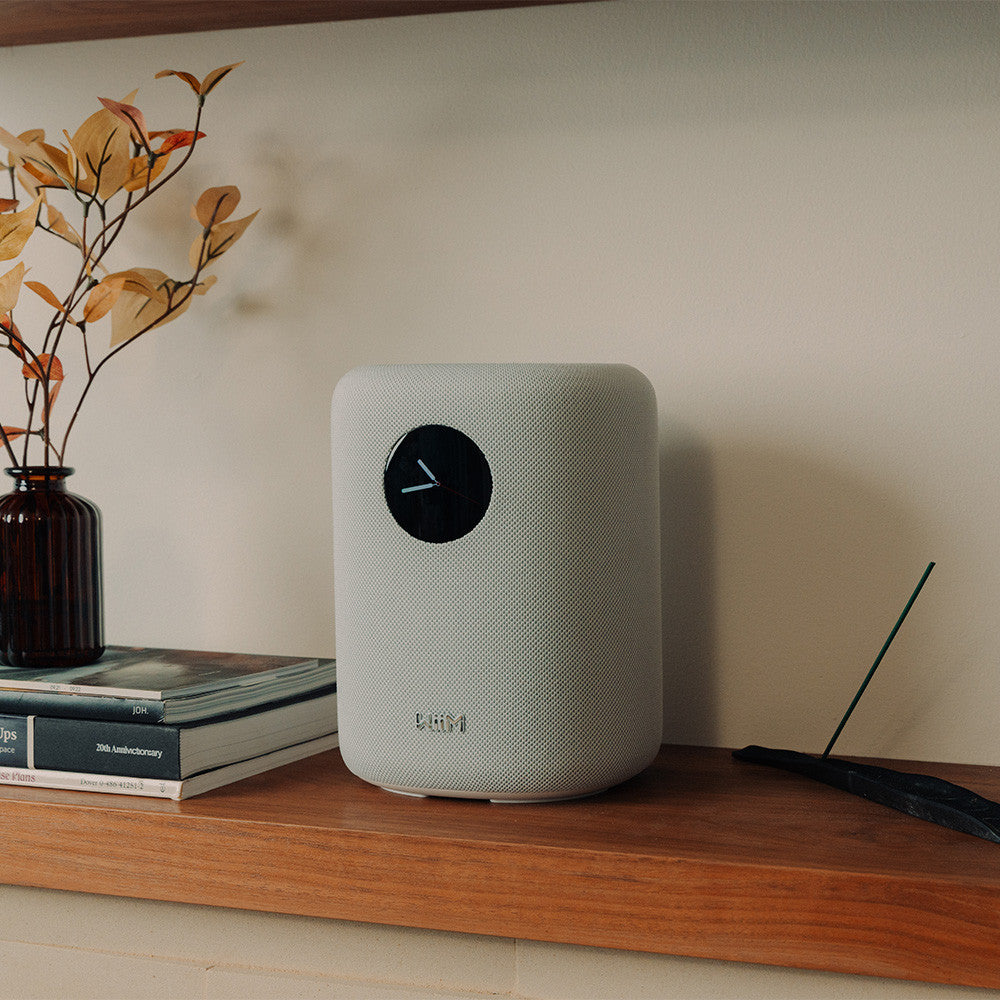 WiiM Sound Wireless speaker