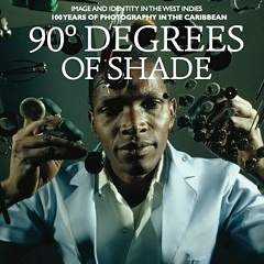 90 Degrees Of Shade book